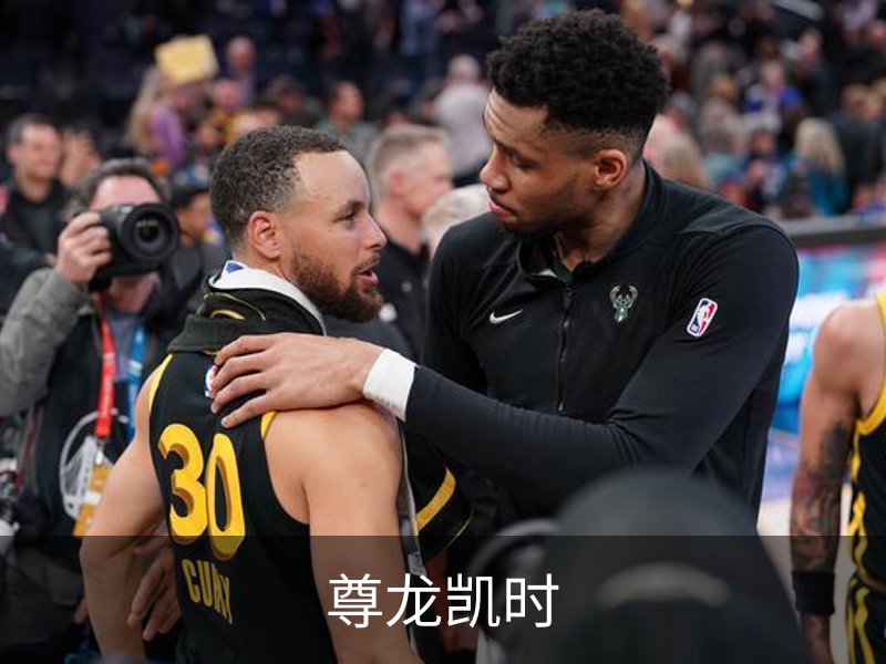 了解尊龙凯时